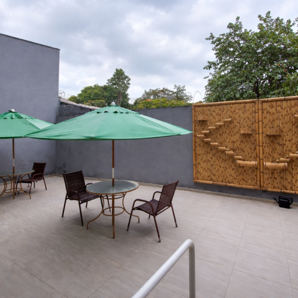 Patio espaçoso com guarda-sóis verdes (1)